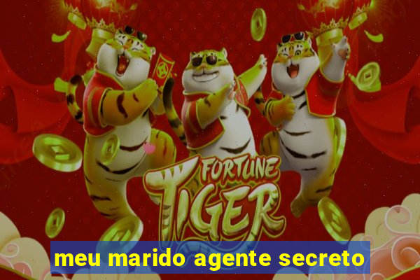 meu marido agente secreto